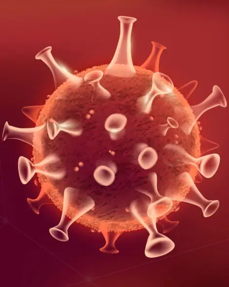 Immune Function